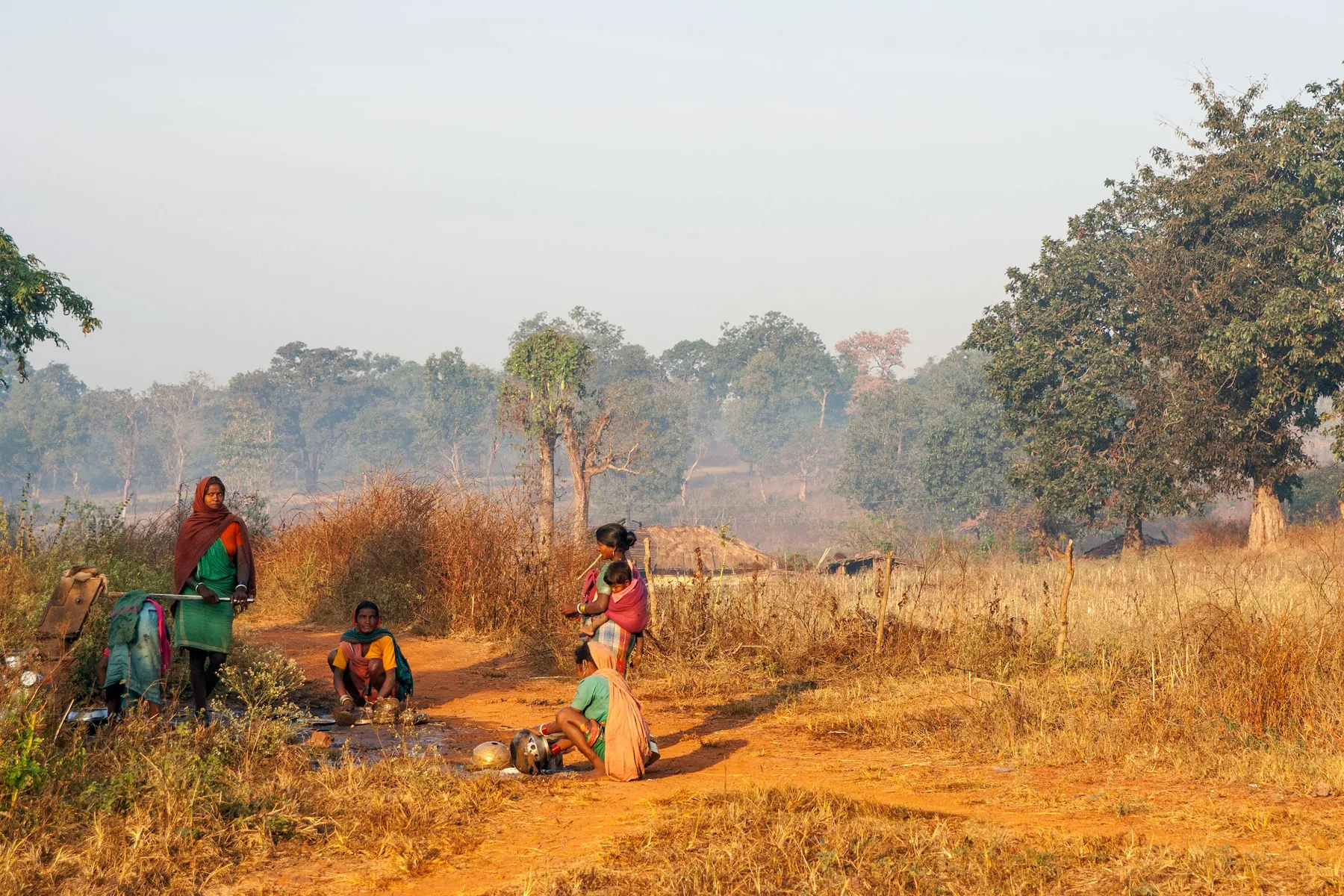 Rural Indian community landscape