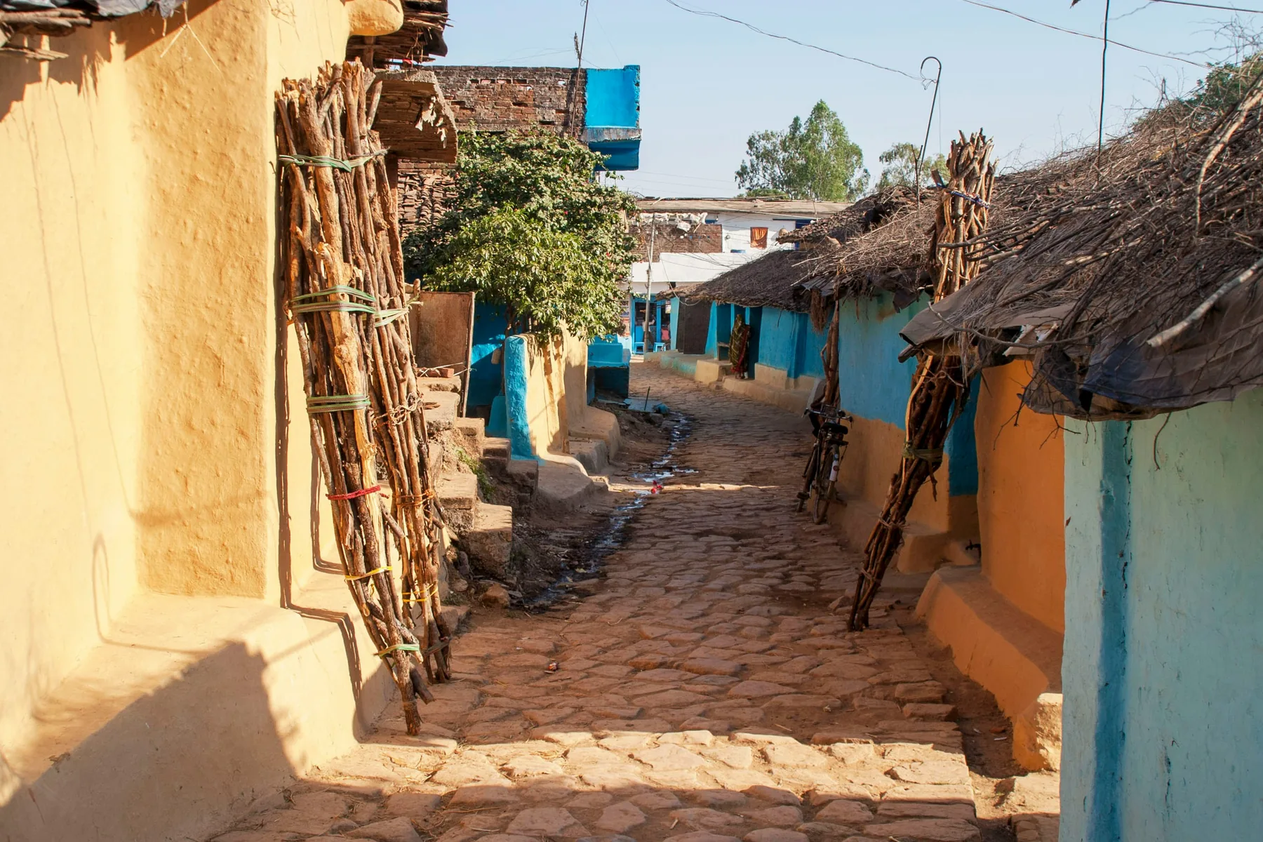 Rural Indian village street